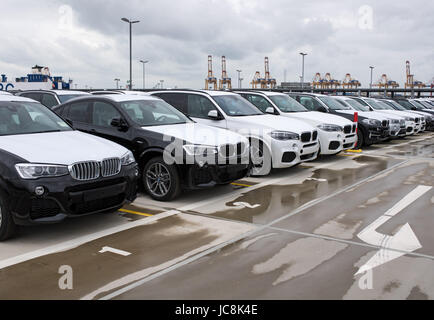 Bremerhaven, Germany. 12th June, 2017. New vehicles of BMW can be seen at the BLG Logistics Group Car Terminal in Bremerhaven, Germany, 12 June 2017. Photo: Ingo Wagner/dpa/Alamy Live News Stock Photo