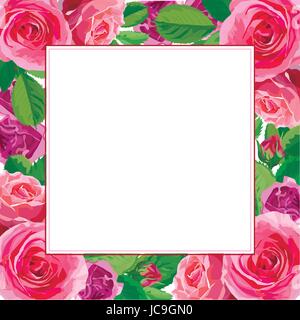 Flower blooming flowers pink Rose leaves beautiful lovely spring summer bouquet vector illustration. Top view square elegant watercolor frame design Stock Vector