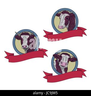 Cow, calf, bull cute muzzle face set collection variation sticker icon label tag symbol text space tape. Vector beautiful square sign outline color il Stock Vector