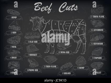 Beef cow bull whole carcass cuts cut parts infographics scheme sign signboard poster butchers guide: neck, chunk, brisket fillet rump. Vector beautifu Stock Vector