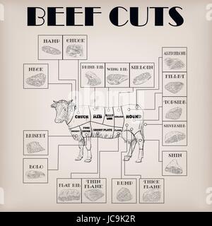 Beef cow bull whole carcass cuts cut parts infographics scheme sign signboard poster butchers guide: neck, chunk, brisket fillet rump. Vector beautifu Stock Vector