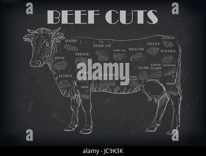 Beef cow bull whole carcass cuts cut parts infographics scheme sign signboard poster butchers guide: neck chunk, brisket fillet rump. Vector beautiful Stock Vector