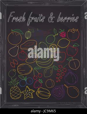 Set of fresh fruits & berries drawn in chalk Stock Vector