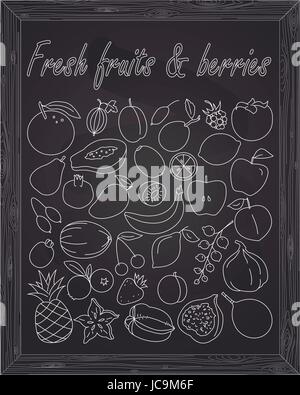 Set of fresh fruits & berries drawn in chalk Stock Vector