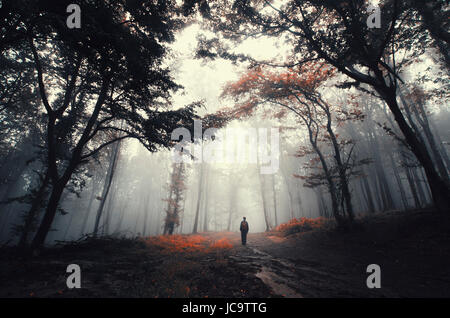 man walking on fantasy forest path with trees in fog Stock Photo