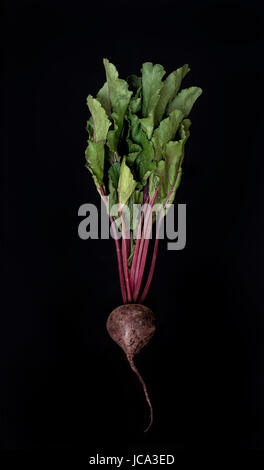 Red beetroot isolated on black background Stock Photo