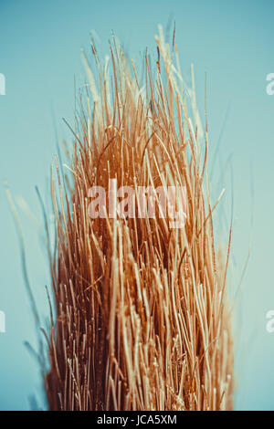 Paint brush hair super close-up view. Magnification about 100 times. Stock Photo