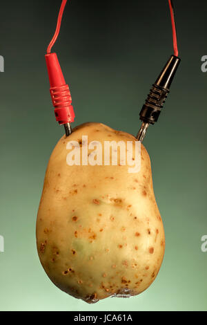 Potato as source of energy, on green background Stock Photo