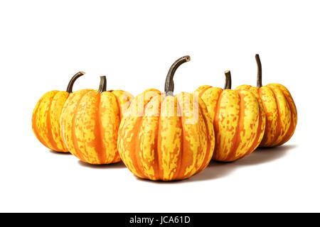 Five red striped pumpkins isolated on white background Stock Photo