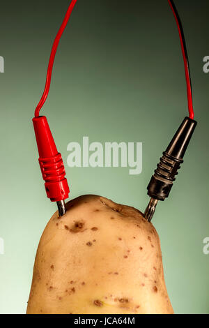 Potato connected to electrodes, on green background Stock Photo