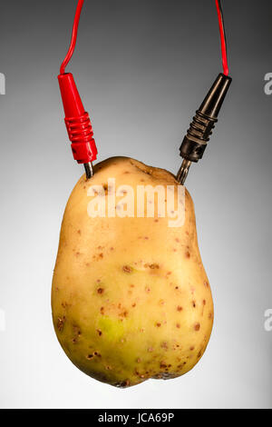 Potato as source of energy, on gray background Stock Photo