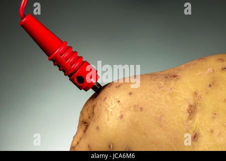 Anode connected to a potato. Energy crops Stock Photo