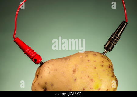 Potato as source of power, on green. Energy crops Stock Photo