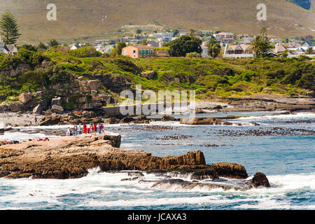 HERMANUS, SOUTH AFRICA - 4 OCTOBER 2015: Unidentified people in Hermanus for Whale Festival. Hermanus is famous for Southern Right Whale watching. Stock Photo