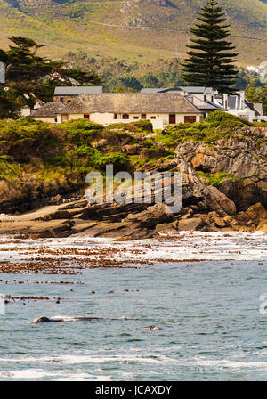 HERMANUS, SOUTH AFRICA - 4 OCTOBER 2015: Unidentified people in Hermanus for Whale Festival. Hermanus is famous for Southern Right Whale watching. Stock Photo