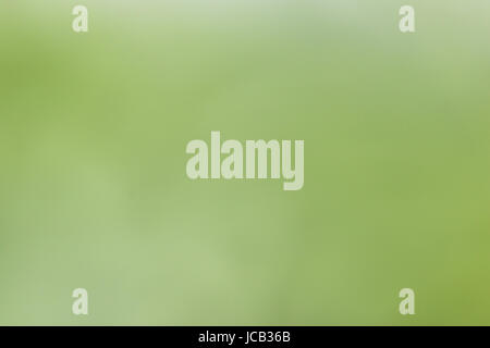 A horizontal image suitable for a background. This is predominantly green with a bit of mottling in a lighter shade. Stock Photo