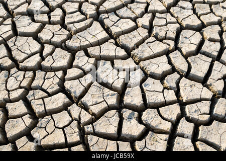 drought barren, cracked, dry, crusty patch of land Stock Photo