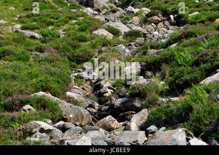 Wanderung in der Umgebung des 'Llyn Idwal' in Wales - Snowdonia Nationalpark -  inmitten der Cambrian Mountains. Stock Photo