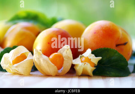 Ripe physalis and plums on green background Stock Photo