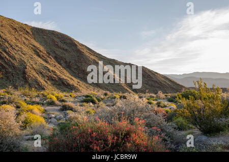 Sunrise in Anzo-Borrego State Park Stock Photo