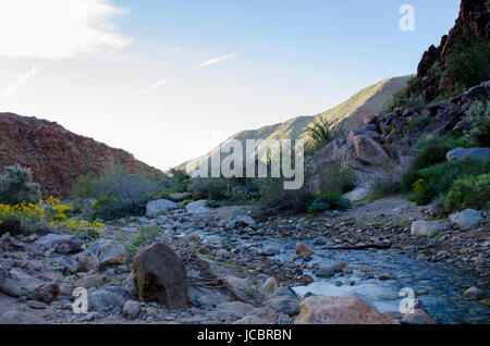 Sunrise in Anzo-Borrego State Park Stock Photo