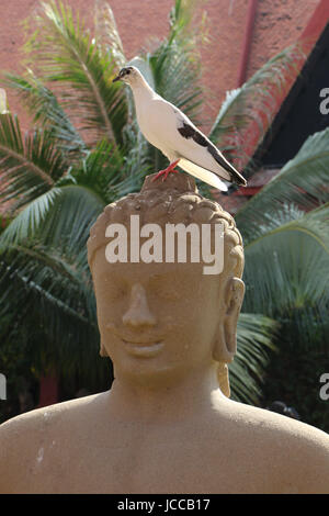 Pigeon sitting on head of Buddha statue in Cambodia Stock Photo