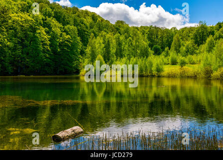 mountain lake among the green forest in picturesque springtime landscape. reflection in crystal clear water. beautiful weather with blue sky and some  Stock Photo