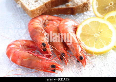 Fresh Australian king prawns. Stock Photo