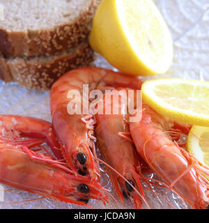 Fresh Australian king prawns. Stock Photo