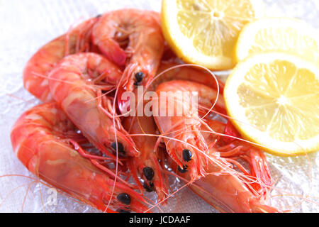 Fresh Australian king prawns. Stock Photo