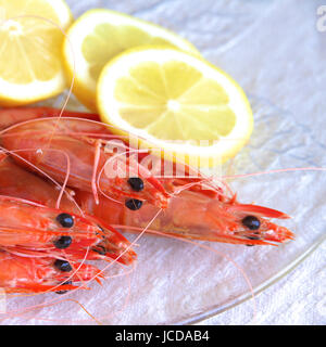 Fresh Australian king prawns. Stock Photo