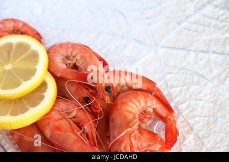 Fresh Australian king prawns. Stock Photo