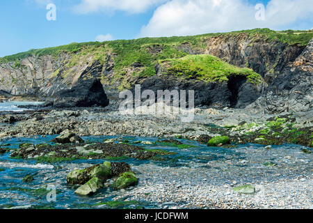 The beach at Trefin or Trevine on the Pembrokeshire Coast west Wales Stock Photo