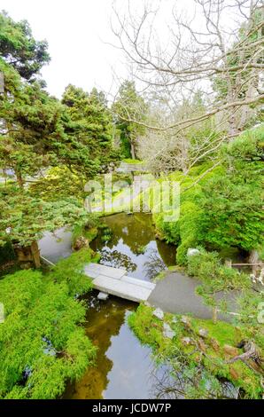 The Japanese Tea Garden in Golden Gate Park in San Francisco, California, United States of America. A view of the native Japanese and Chinese plants and pond that create a relaxing scenery. Stock Photo