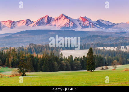 Green alpine valley on a sunny morning. Snowy mountain peaks illuminated by rising sun. Stock Photo