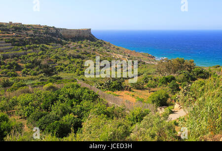 Coastal scenery San Blas bay, island of Gozo, Malta Stock Photo