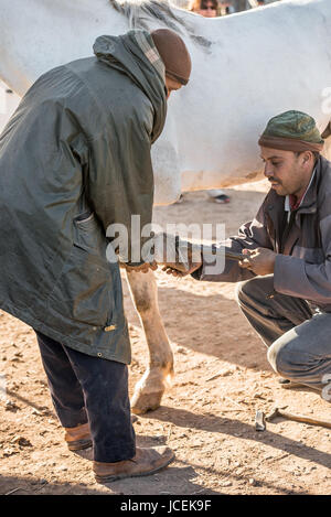 Farrier at work in a traditional countryside market in Morocco Stock Photo