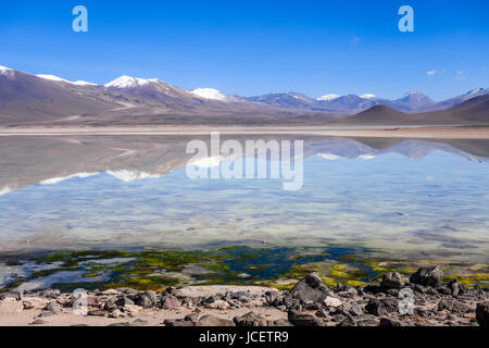 Clear altiplano laguna in sud Lipez reserva Eduardo Avaroa, Bolivia Stock Photo