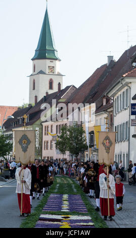 Huefingen, Germany. 15th June, 2017. Ministrants and people in traditional dress walking beside the flower of carpets during a procession at Corpus Christi, in Huefingen, Germany, 15 June 2017. Volunteers collected several million flowers for the carpet of flowers, which is around 450 metres long. Photo: Patrick Seeger/dpa/Alamy Live News Stock Photo