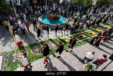 Huefingen, Germany. 15th June, 2017. Ministrants and people in traditional dress walking beside the flower of carpets during a procession at Corpus Christi, in Huefingen, Germany, 15 June 2017. Volunteers collected several million flowers for the carpet of flowers, which is around 450 metres long. Photo: Patrick Seeger/dpa/Alamy Live News Stock Photo