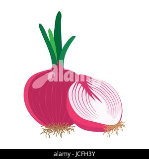 Red onion with slice flat design, Red onion isolated on white background. vector illustration. Stock Vector