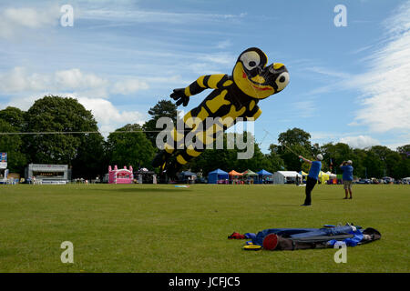 Scenes of kite flying from the annual Kite Festival in Russell Park, Bedford, Bedfordshire, England Stock Photo