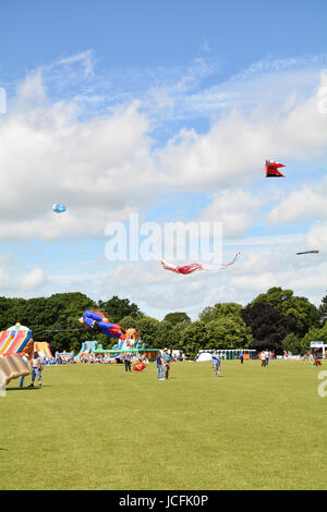 Scenes of kite flying from the annual Kite Festival in Russell Park, Bedford, Bedfordshire, England Stock Photo