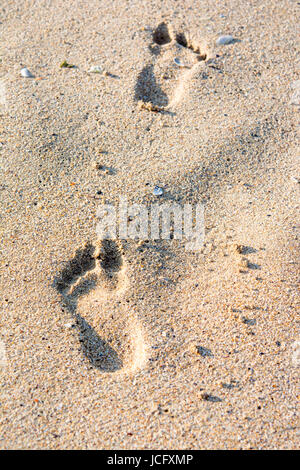 A footprint in golden sand on the shore of the sea Stock Photo