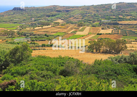 Rural farming landscape from Xaghra to Ramla Bay, island of Gozo, Malta Stock Photo