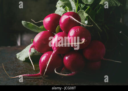 Fresh organic ripe young radish bundle with leaves over dark texture background. Close up. Selective focus, toned image Stock Photo