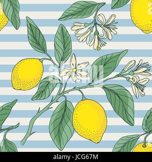Lemon with nautical striped. Seamless pattern. Floral background with citrus plants. Vector illustration. Stock Vector