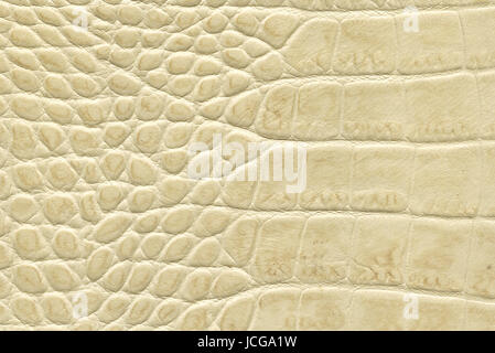 beige crocodile leather texture Stock Photo