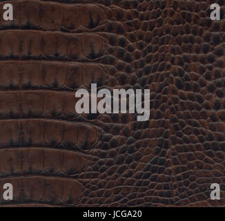 dark brown crocodile leather Stock Photo