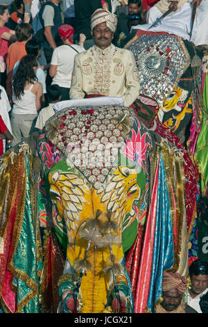 Decorated Indian Elephant (Elephas maximus indicus) amongst crowds of people during the annual elephant festival in Jaipur, Rajasthan, India. Stock Photo